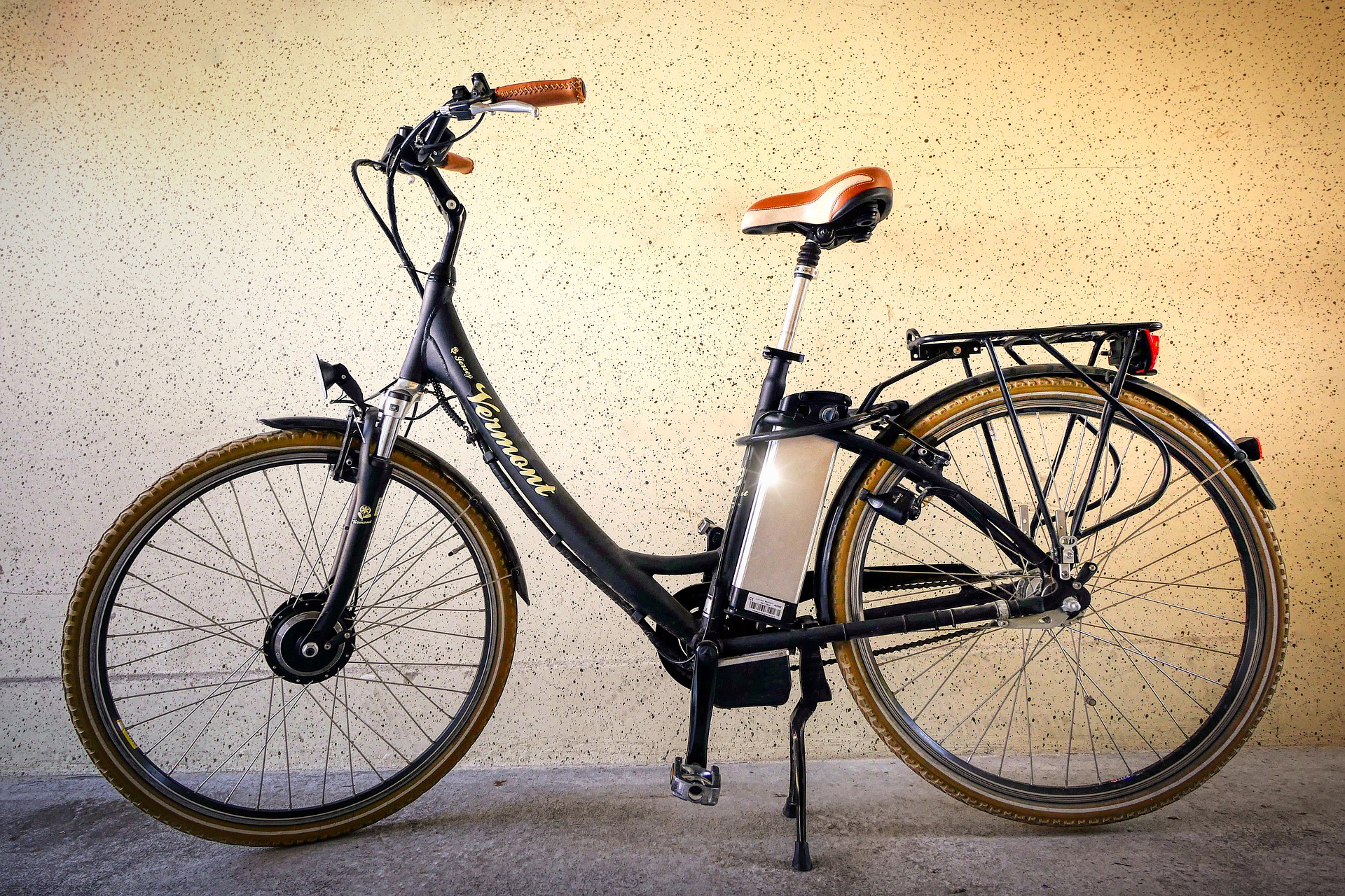 bicicletta elettrica o e-bike